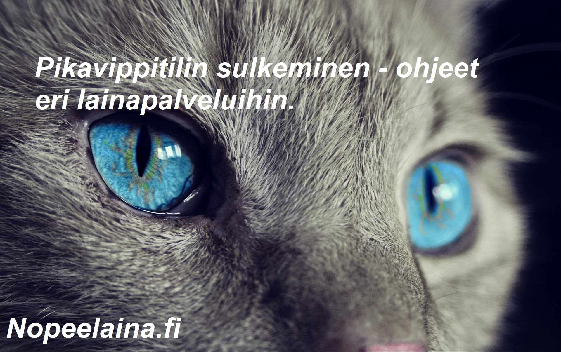 pikavippitilin sulkeminen - ohjeet ja kokemuksia